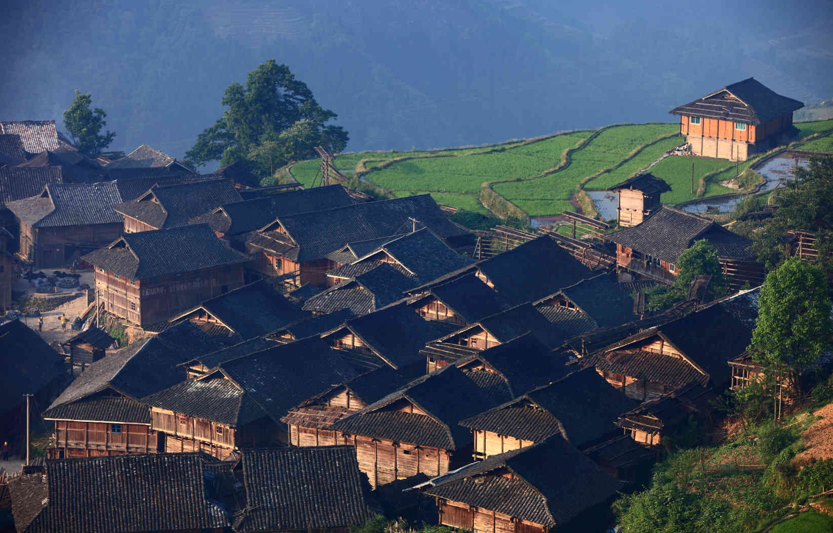 Congjiang Jiabang Terraced Fields